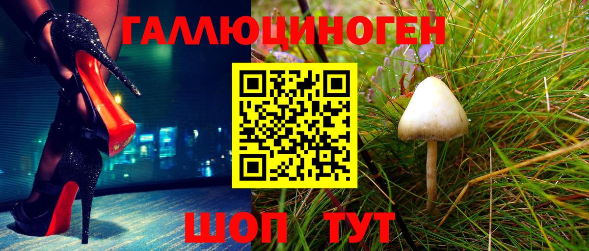 Озёрск  Псилоцибиновые грибы MAGIC MUSHROOMS  Вход с VPN 